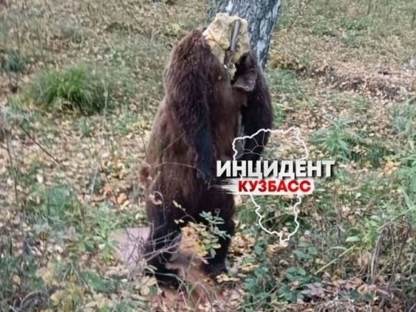 Чучело медведя недолго простояло у дороги в Мариинском районе В Кузбассе кто-то придумал пошутить над проезжающими. Шутку оценили, а через пару часов чучело исчезло.