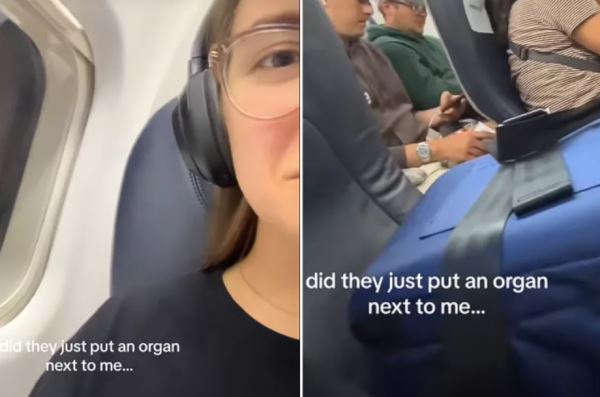 Туристка была шокирована в самолете, когда поняла, что на соседнем сиденье человеческий орган в сумке