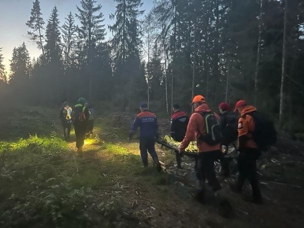 Вышла из леса живой: 73-летнюю женщину спасли после недели поисковСпасатели помогли вернуться домой жительнице Ленинградской области. Она ушла в лес с одним пакетом для грибов.