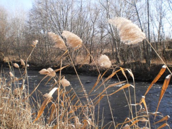 Пропавшего в Рязанской области рыбака обнаружили на шестые суткиТело подняли из реки Ока. По факту гибели проводится доследствнная проверка.
